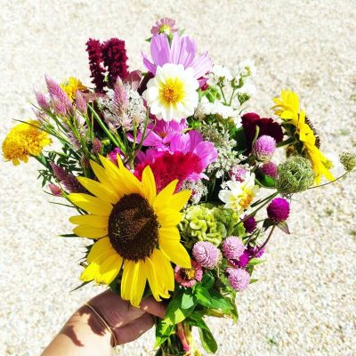 Abonnement Bouquet Fleurs Locales - FERME FLORALE PONOIE